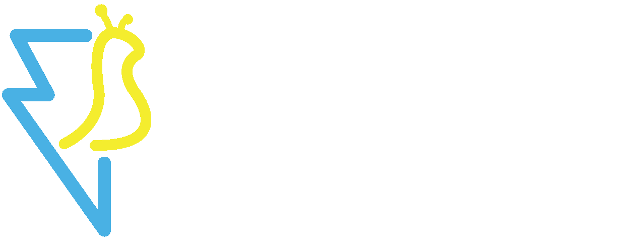Formula Slug Logo